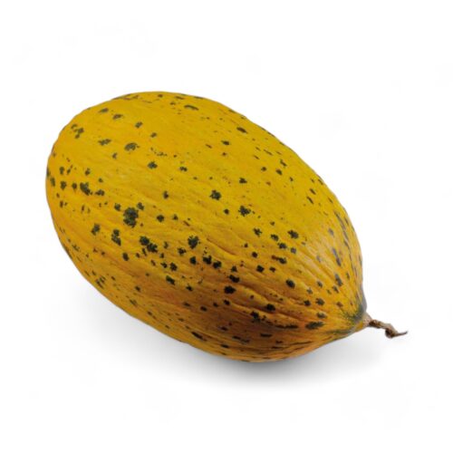 Honigmelone Türkisch