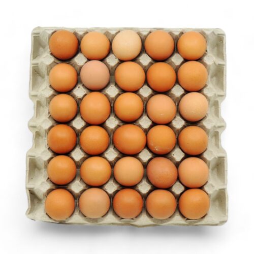 30 Frische Eier