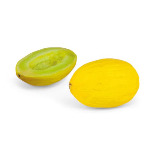 Honigmelone Gelb