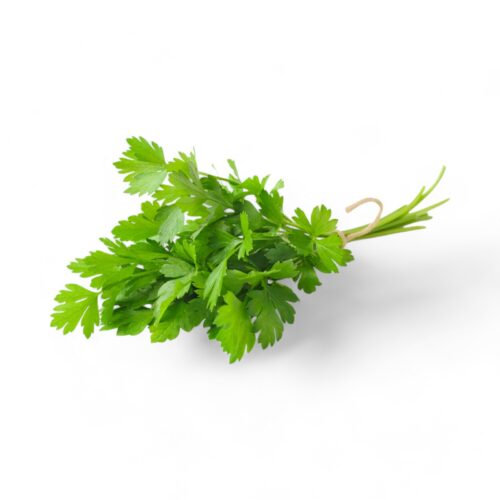 Koriander