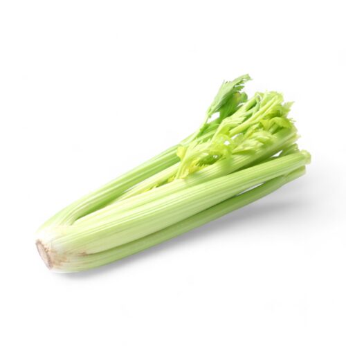 Staudensellerie Bund