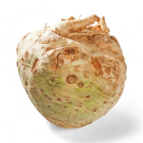 Sellerieknollen ohne Grün