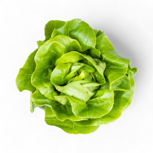 Kopfsalat
