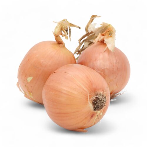 Zwiebel Metzger  Lose