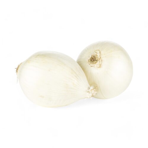 Zwiebeln Weiss Lose