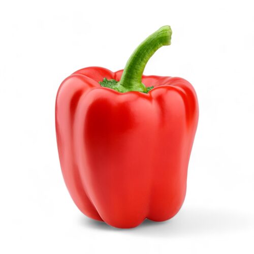 Paprika Rot Lose