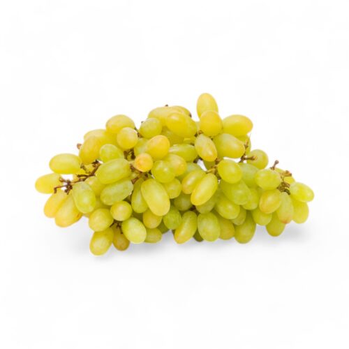 Trauben Sultan o. Kern