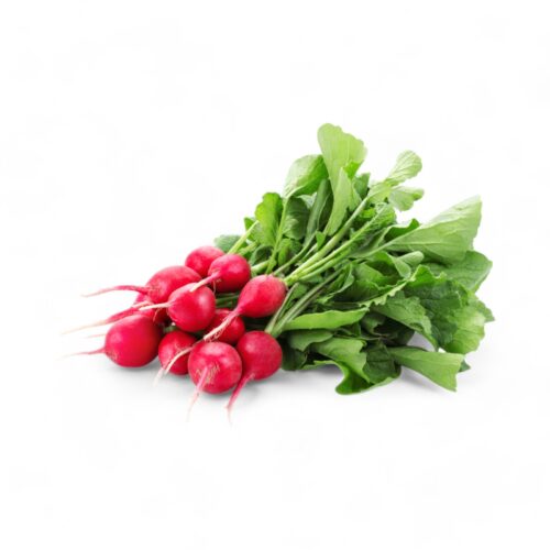 Radieschen Bund