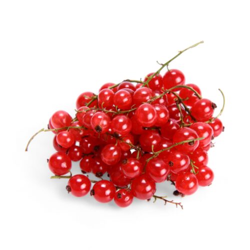 Johannisbeeren Rot