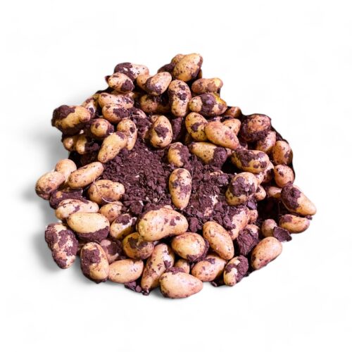 Frühkartoffeln Annabelle aus Zypern