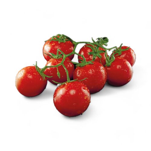 Strauchtomaten