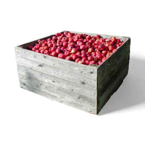 Apfel Elstar aus der Box