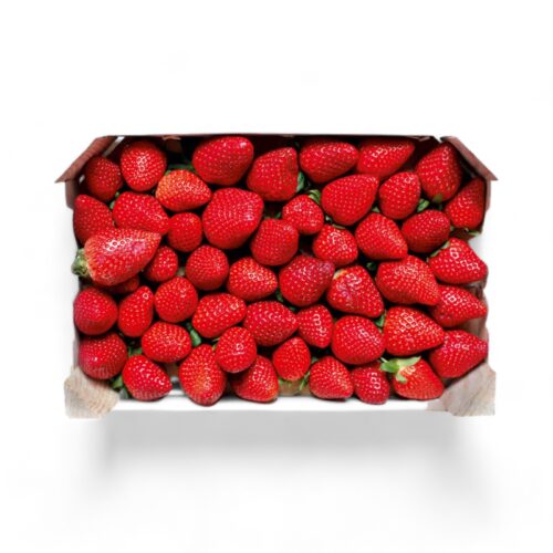 Erdbeeren