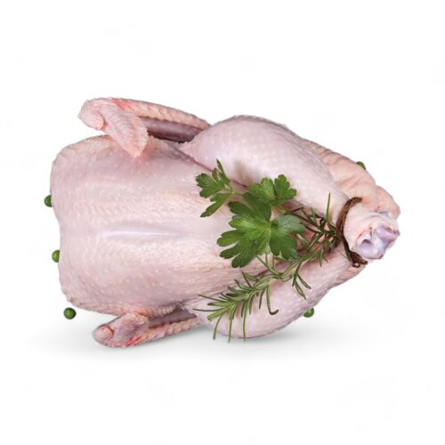 Ganze Hähnchen Helal Qualität