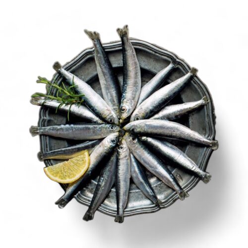 Sardellen/Hamsi