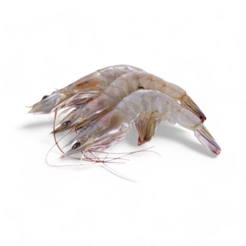Garnelen Roh 21/30
