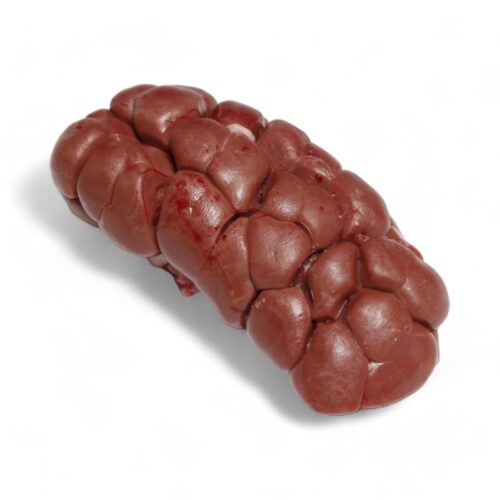 Kalb Nieren Helal Qualität