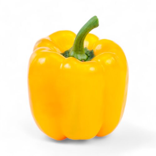 Paprika Gelb Lose
